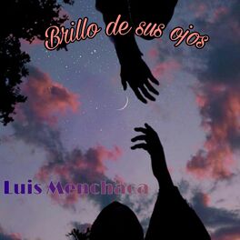 Album cover of Brillo de sus ojos