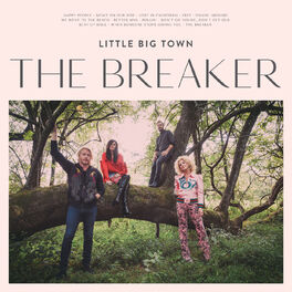 Album cover of The Breaker