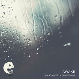 Album cover of Awake