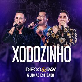 Album cover of Xodozinho (Ao Vivo)