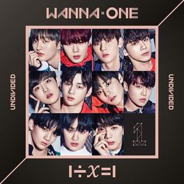 Album cover of 1÷x=1 (UNDIVIDED)