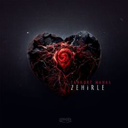 Album cover of Zehirle