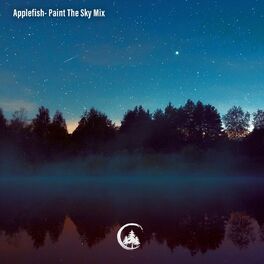 Album cover of Paint the Sky Mix