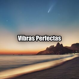 Album cover of Vibras Perfectas