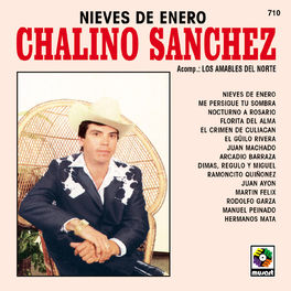 Album cover of Nieves de Enero