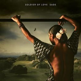 Album cover of Soldier of Love