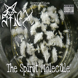 Album cover of Sin X - The Spirit Molecule
