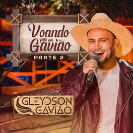 Album picture of Voando Feito Um Gavião, Pt. 2
