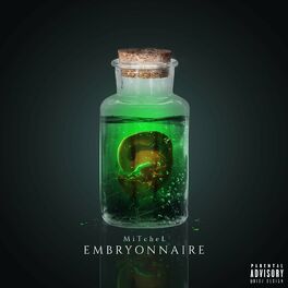 Album cover of Embryonnaire