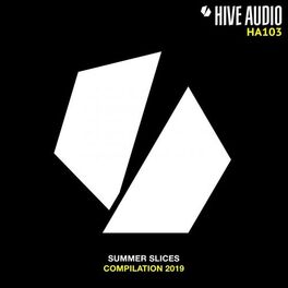 Album cover of Summer Slices 2019