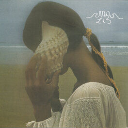 Album cover of Allah-Las