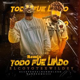 Album cover of Todo Fue Lindo (feat. Wildey) [Remix]