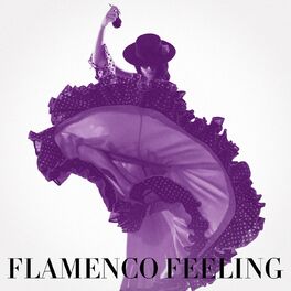 Album cover of Flamenco Feeling