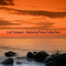 Album cover of Relaxing Piano Collection