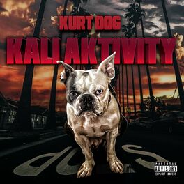 Album cover of KALI AKTIVITY