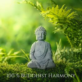 Buddha on sale meditation music