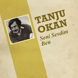 Album cover of Seni Sevdim Ben