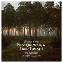 Album cover of Brahms: Piano Quartet Op. 60 & Piano Trio Op. 8