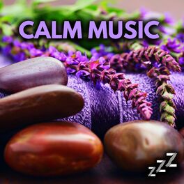 Album cover of CALM MUSIC
