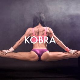 Album cover of Kobra (Instrumental)