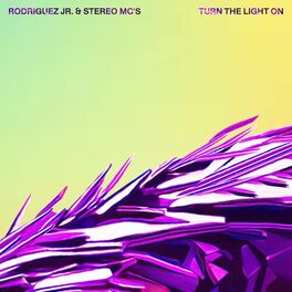 Album cover of Turn The Light On