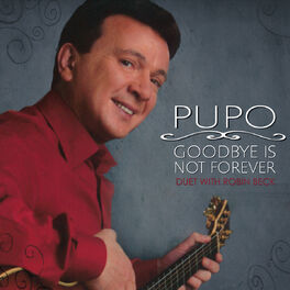 Album cover of Goodbye Is Not Forever