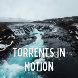 Album cover of Torrents in Motion