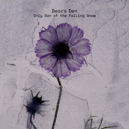 Album cover of Only Son of the Falling Snow