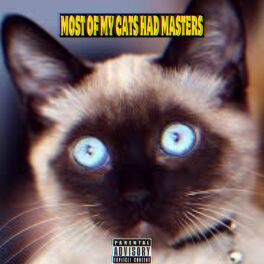 Album cover of MOST OF MY CATS HAD MASTERS (feat. Ramzey)