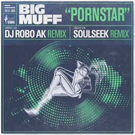 Album cover of Pornstar (The DJ Robo AK & Soulseek Remixes)