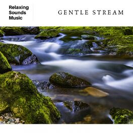Album cover of Gentle Stream Sounds