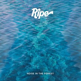 Album cover of Noise in the Forest