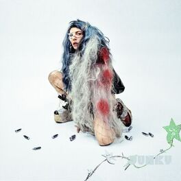 Album cover of JUNKY