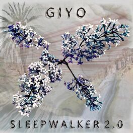 Album cover of Sleepwalker 2.0