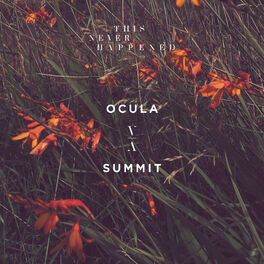 Album cover of Summit