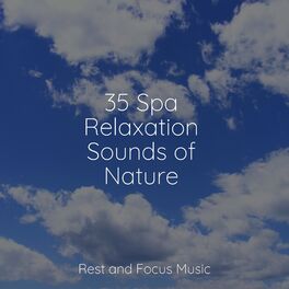Album cover of 35 Spa Relaxation Sounds of Nature
