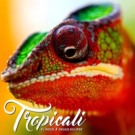 Album cover of Tropicali