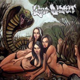 Album cover of Gold Cobra