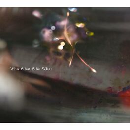 Album cover of Who What Who What