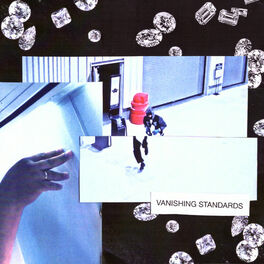 Album cover of Vanishing Standards