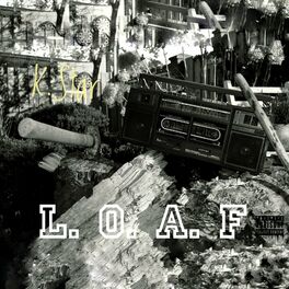 Album cover of L.O.A.F