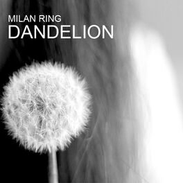 Album cover of Dandelion
