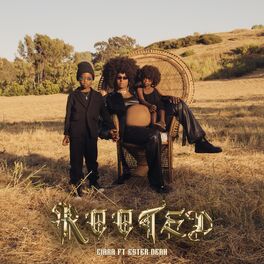 Album cover of Rooted (feat. Ester Dean)