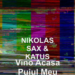 Album cover of Vino Acasa Puiul Meu