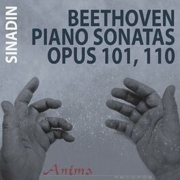 Album cover of Piano Sonatas, Op. 101 & 110