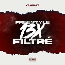 Album cover of Freestyle 13x filtré