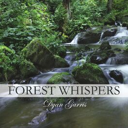 Album cover of Forest Whispers (feat. Sherry Finzer)