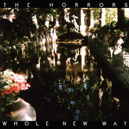 Album cover of Whole New Way