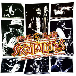 Album cover of Roots Party