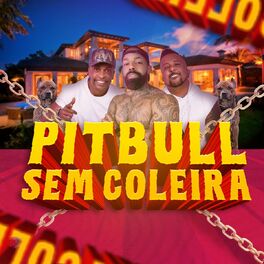 Album cover of Pitbull Sem Coleira